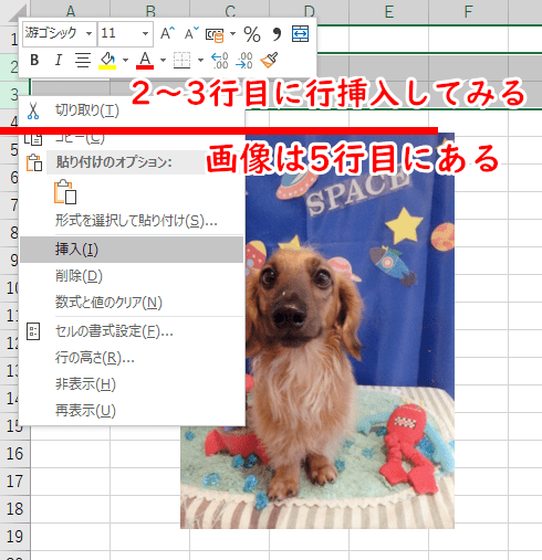 画像が5行目にあるので、2～3行目に行挿入してみる