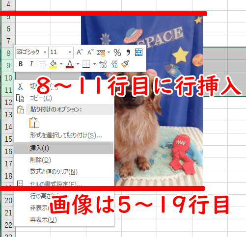 画像が5～19行目にある状態で、そのどまんなか、8～11行目に行挿入