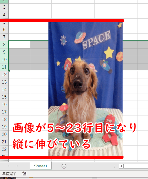 画像が5～23行目になり、縦に伸びている