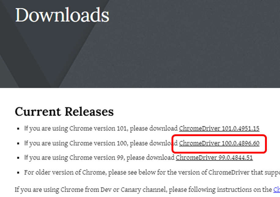 ChromeDriver 100.0.4896.60