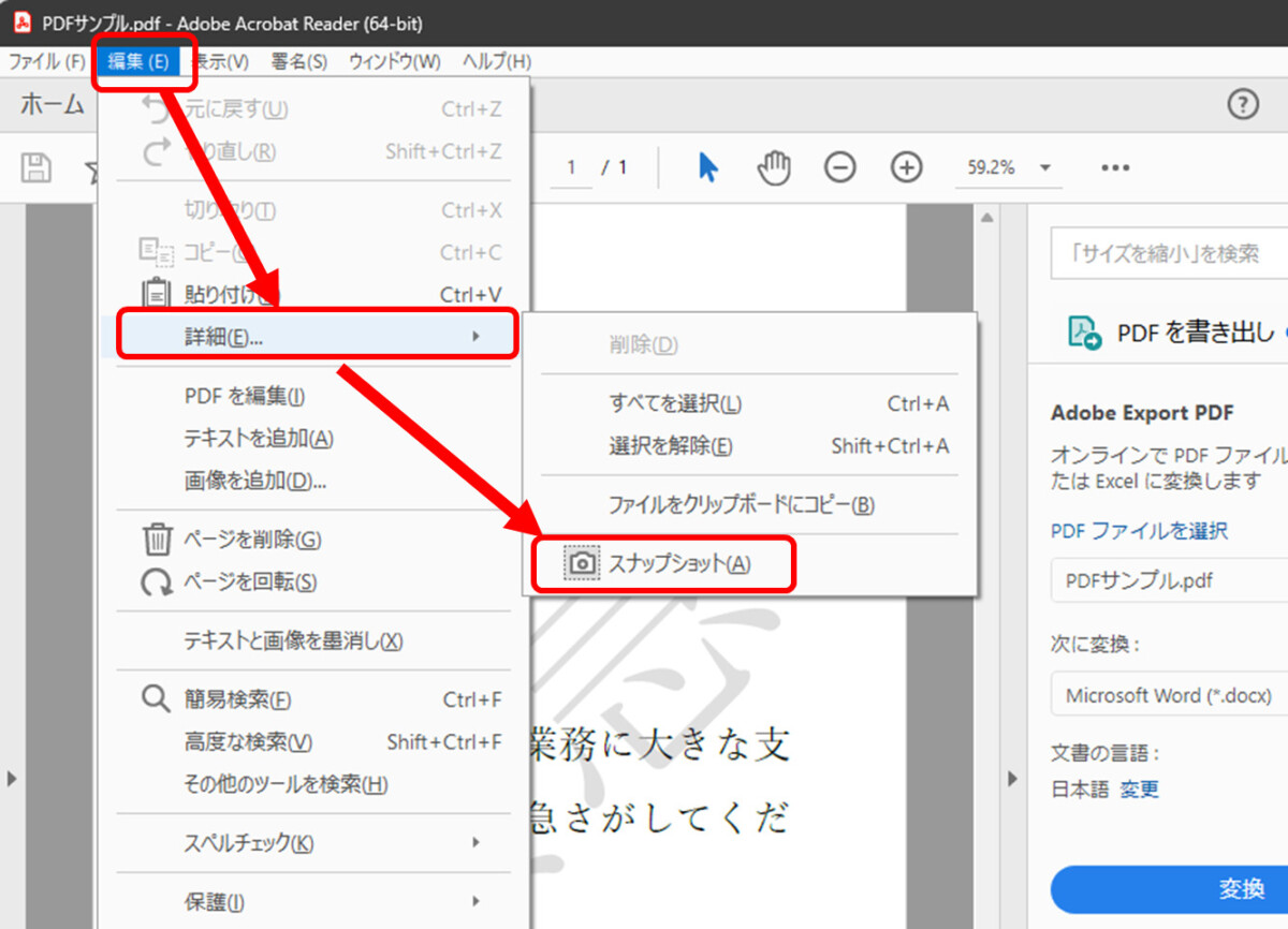 前のAcrobat Reader
編集
詳細
スナップショット