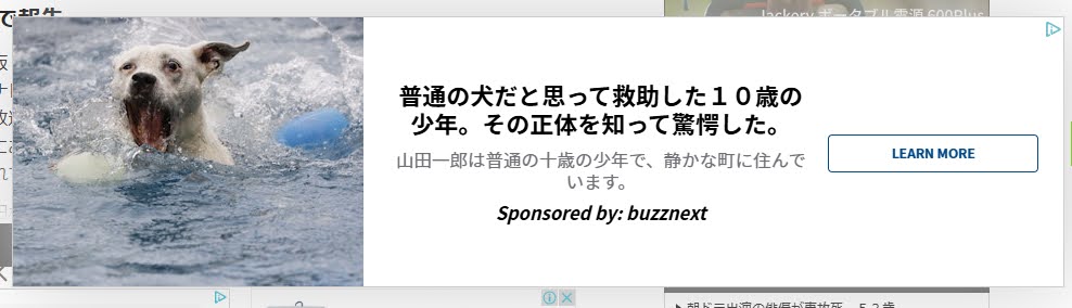 広告　普通の犬だと思って救助した10歳の少年。その正体を知って驚愕した
詐欺画面の起点になっている広告