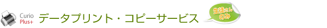 データ出力・コピーサービス